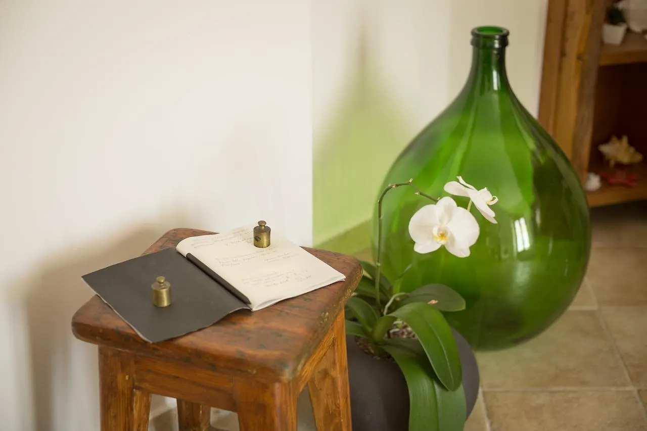 Bed & Breakfast Bed and Breakfast Abbaino Massa  Italia
