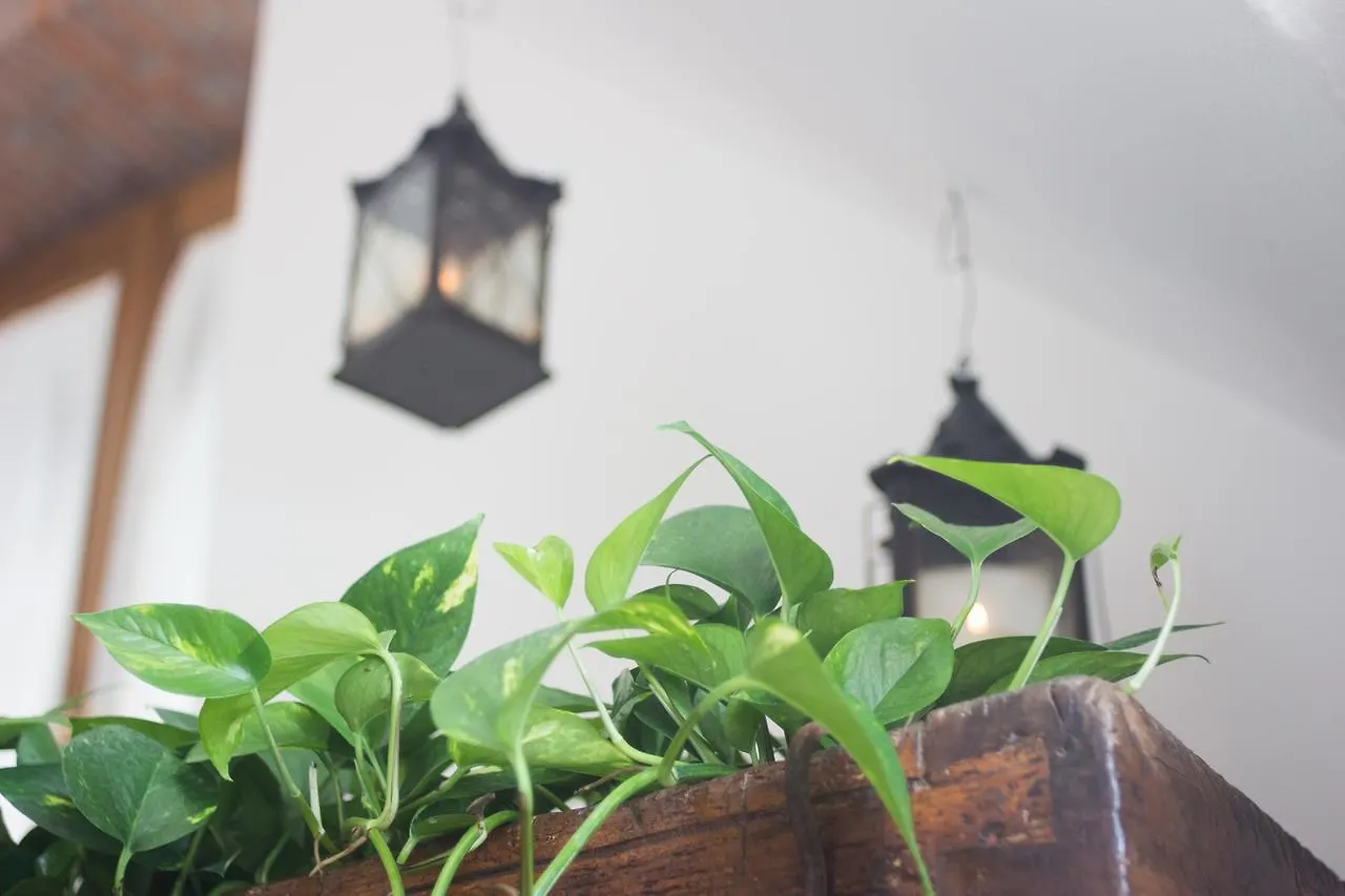 Abbaino Bed & Breakfast Massa
